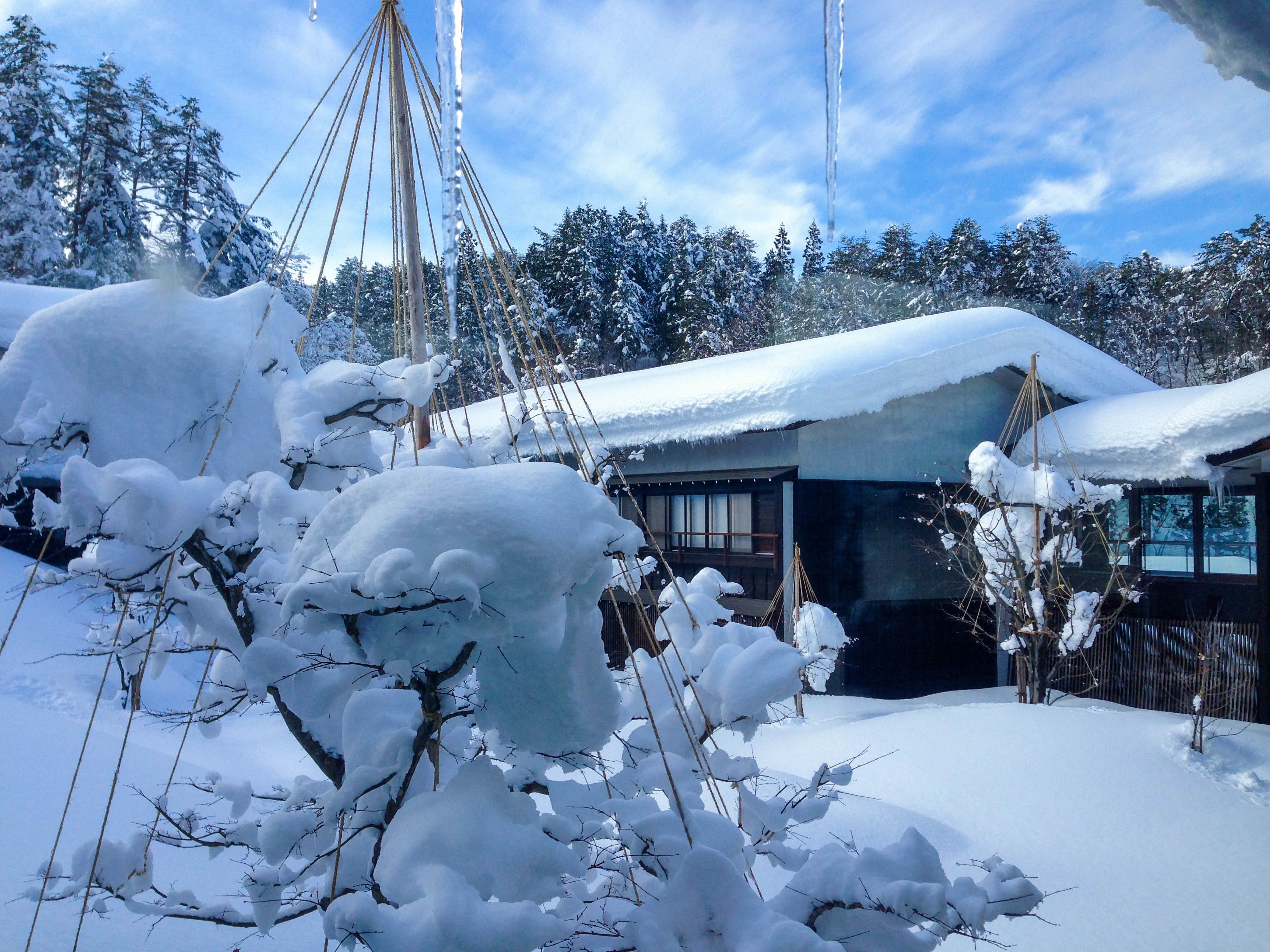 Un paysage enneigé avec une cabane en bois et un grand arbre au premier plan.