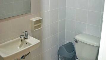 A bathroom with a sink, toilet, and trash bin.
