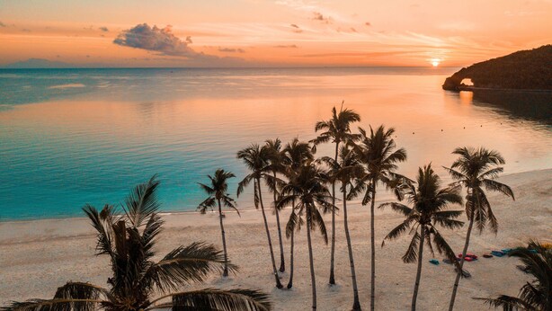 A beach with palm trees and a sunset over the ocean.