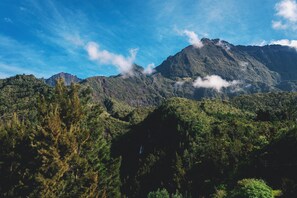 Un paisaje montañoso con bosque denso y un pico destacado.