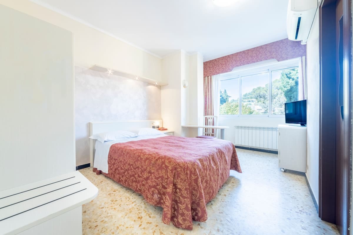 Singola Comfort | Minibar, cassaforte in camera, una scrivania, Wi-Fi gratuito