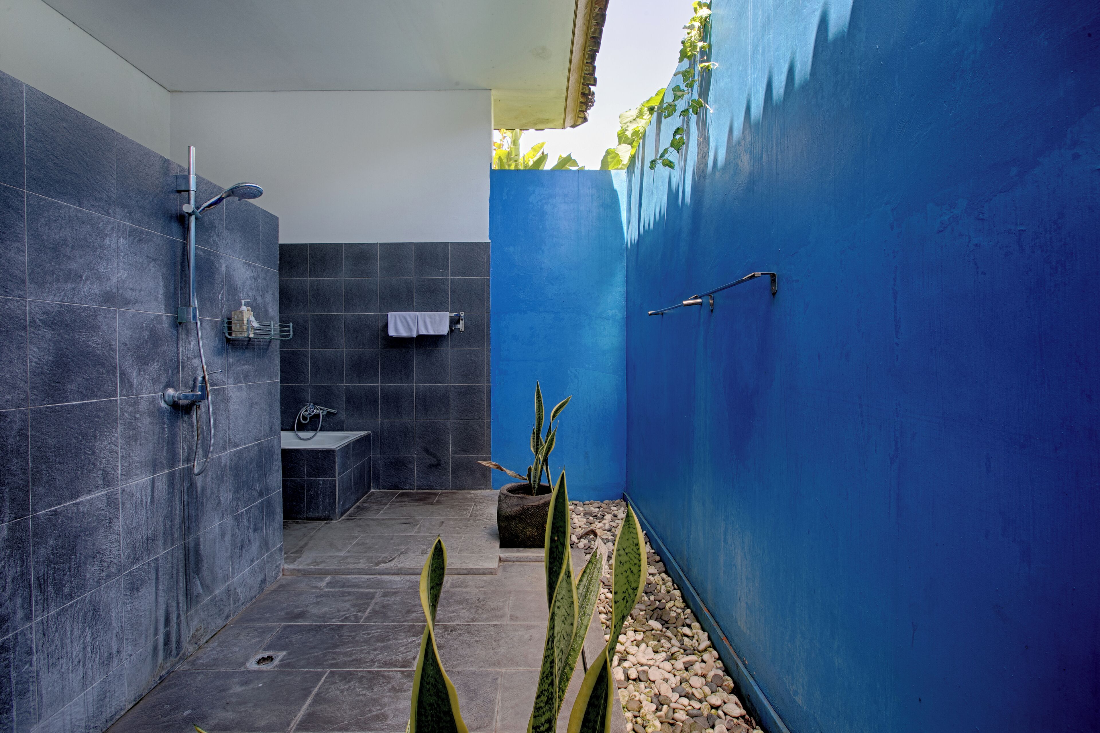 A modern bathroom with a blue accent wall, a shower, a sink, and a potted plant.