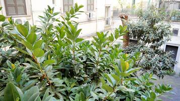 Standard Twin Room | View from room