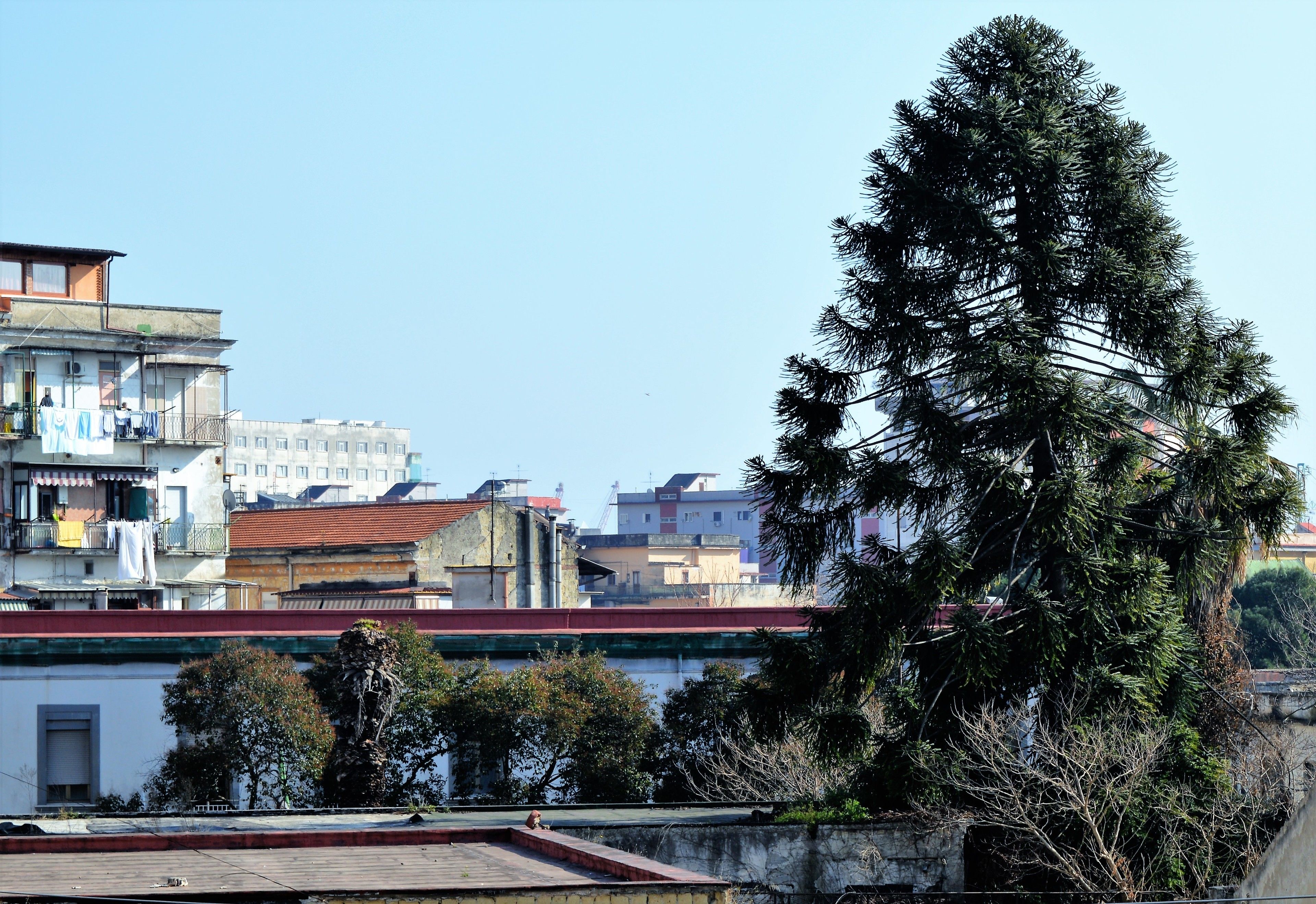 Foto - Napoli Station B&B