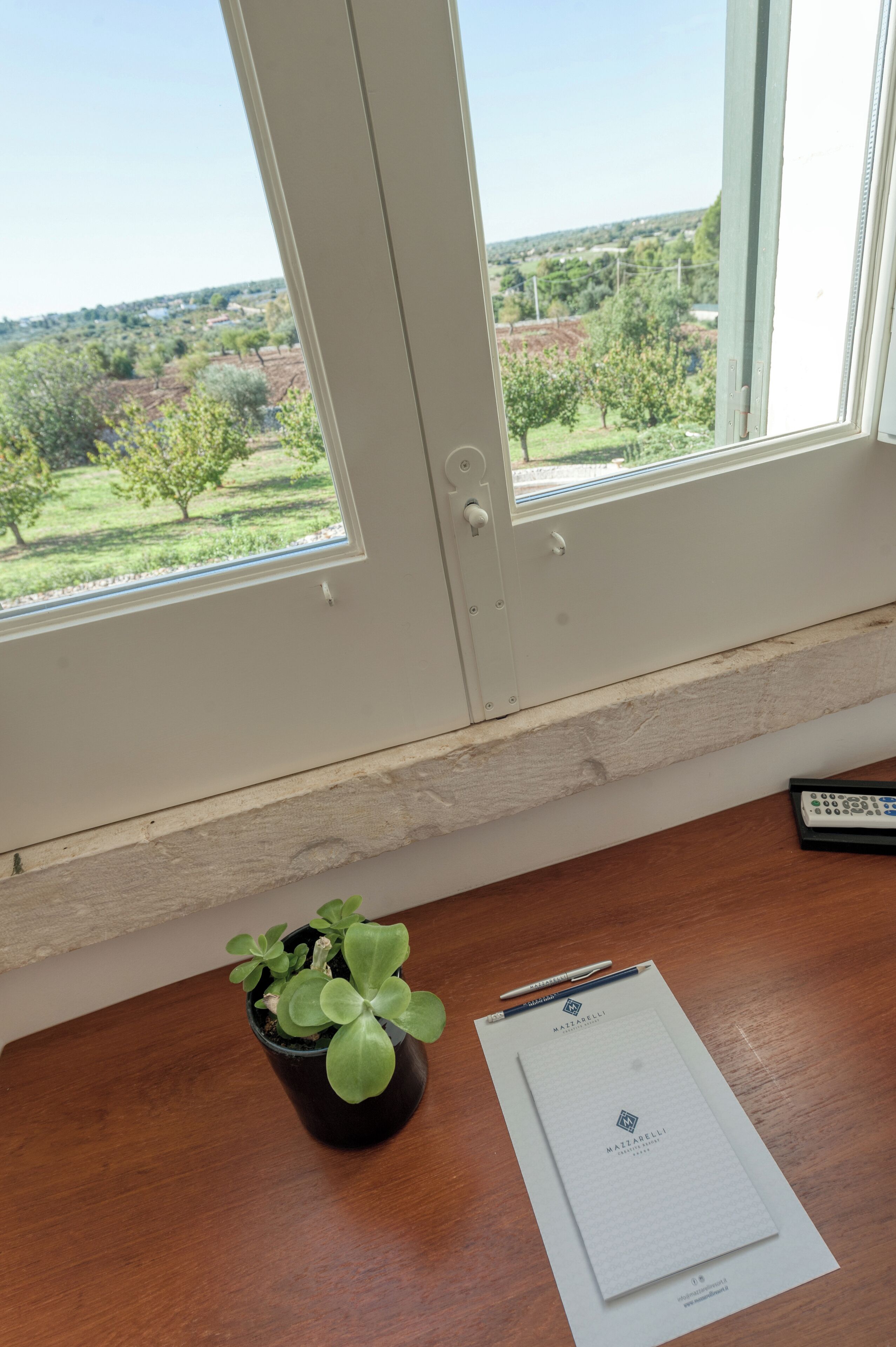 standard room | view from room