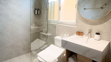 Hair dryer, electronic bidet, towels, shampoo