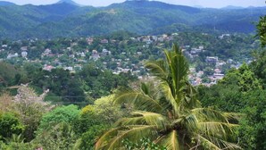 A view of a town nestled in a mountainous area with dense greenery and a prominent palm tree in the foreground. - Hanthana Breeze Home Stay (Kandy)