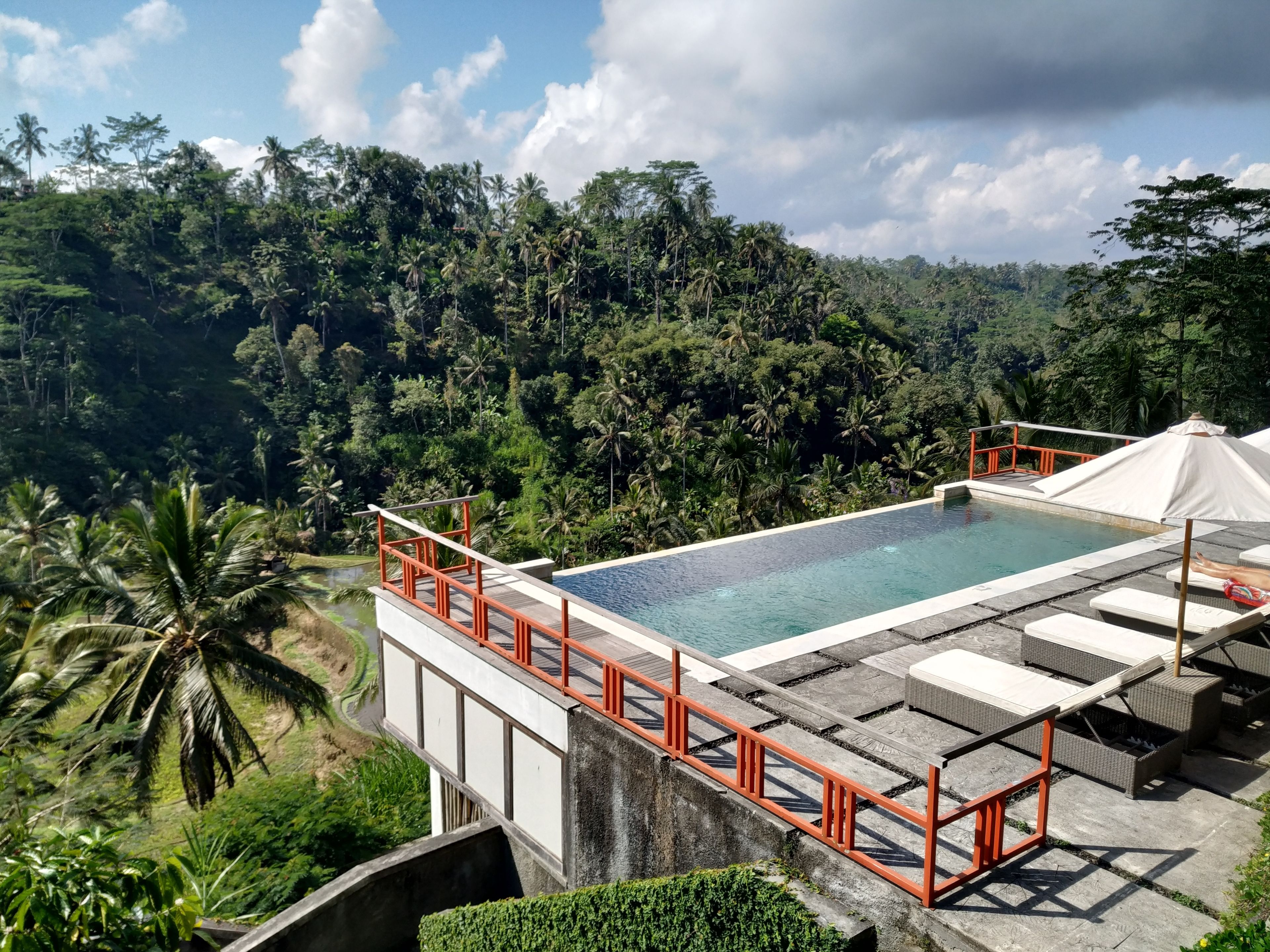 Una piscina infinita en la azotea con vista a un bosque exuberante.