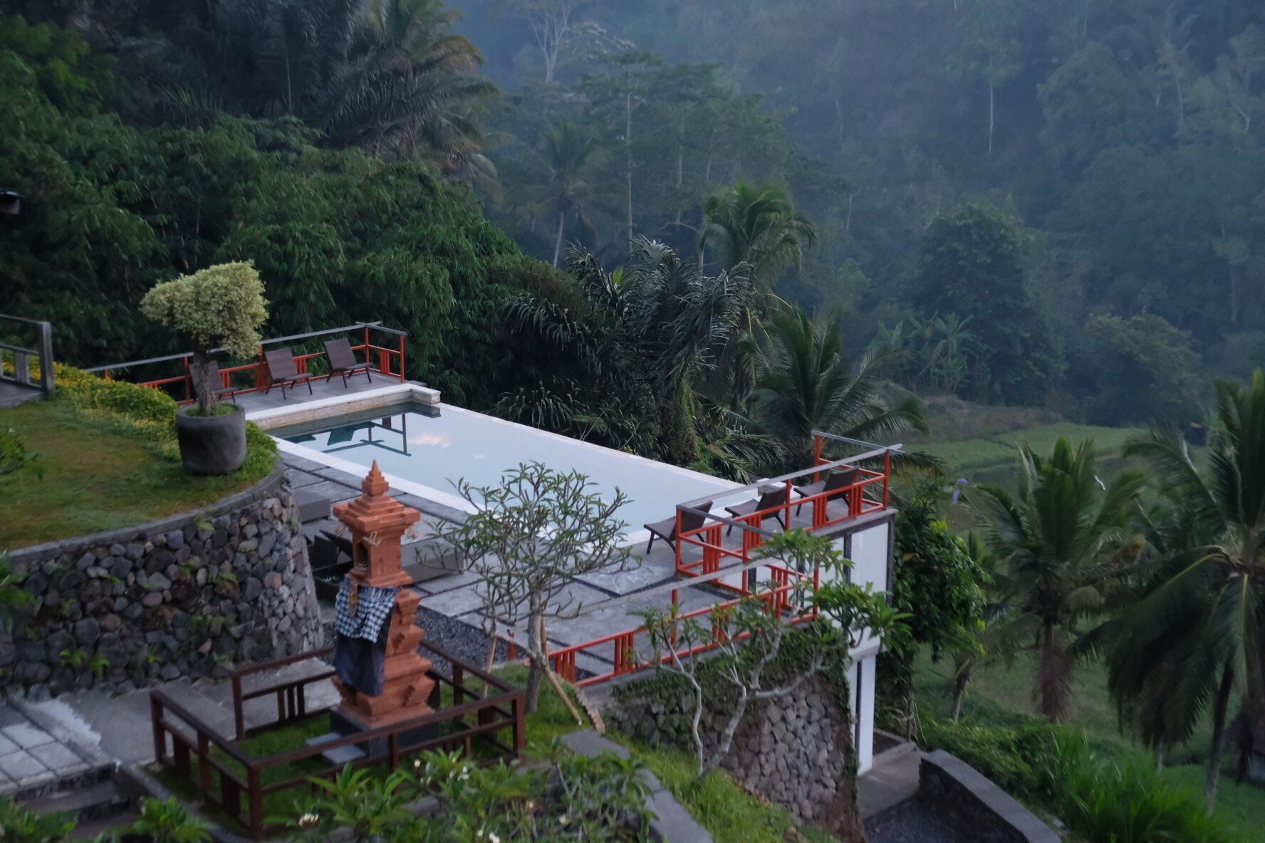 A modern outdoor terrace with a pool, surrounded by lush greenery and palm trees.