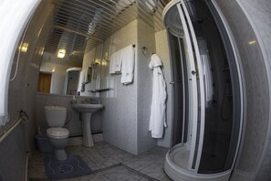 Bathroom shower - Desna Hotel (Bryansk)