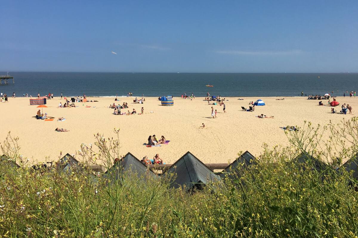 A beach with tents and people.