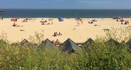 Moray Beachside Apartments