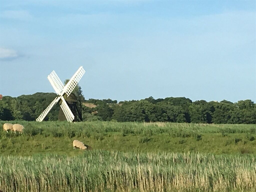 Un molino de viento en un campo con ovejas pastando.