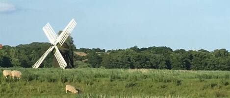 Un molino de viento en un campo con ovejas pastando.