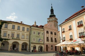 Standing tall with a historic tower and traditional details, this iconic building offers a glimpse into the past.