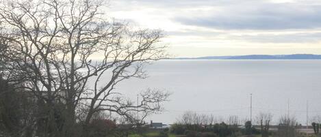 A view of a body of water with a distant shoreline, leafless trees, and a clear sky.