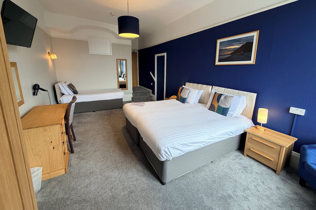 Deluxe Double Room, 1 King Bed, City View | Hypo-allergenic bedding, desk, blackout curtains, iron/ironing board