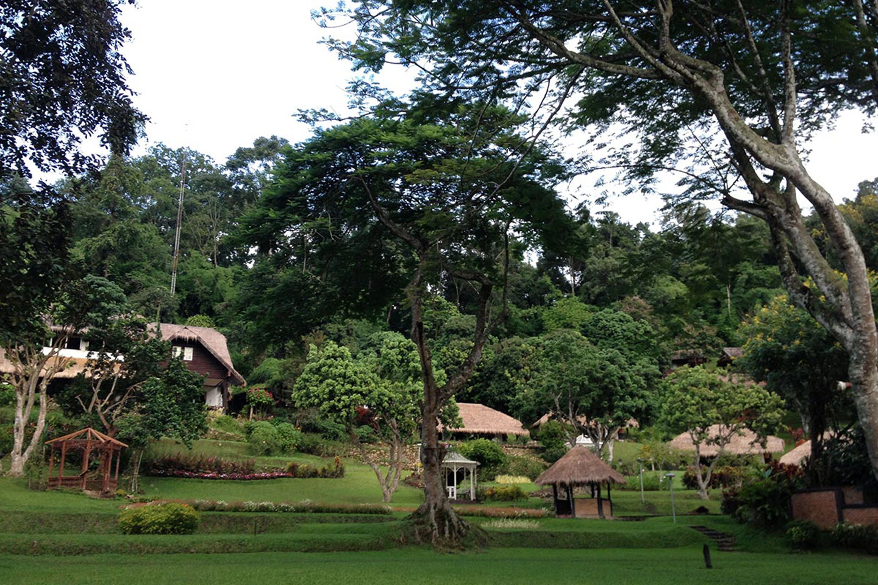 A lush garden with thatched-roof cottages, a gazebo, and a well-maintained lawn.