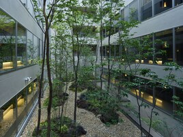 Garður