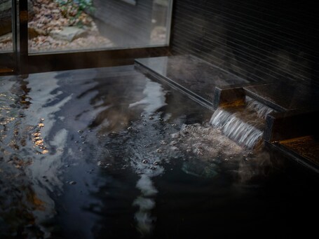 Hotel The Celestine Kyoto Gion - Image 3