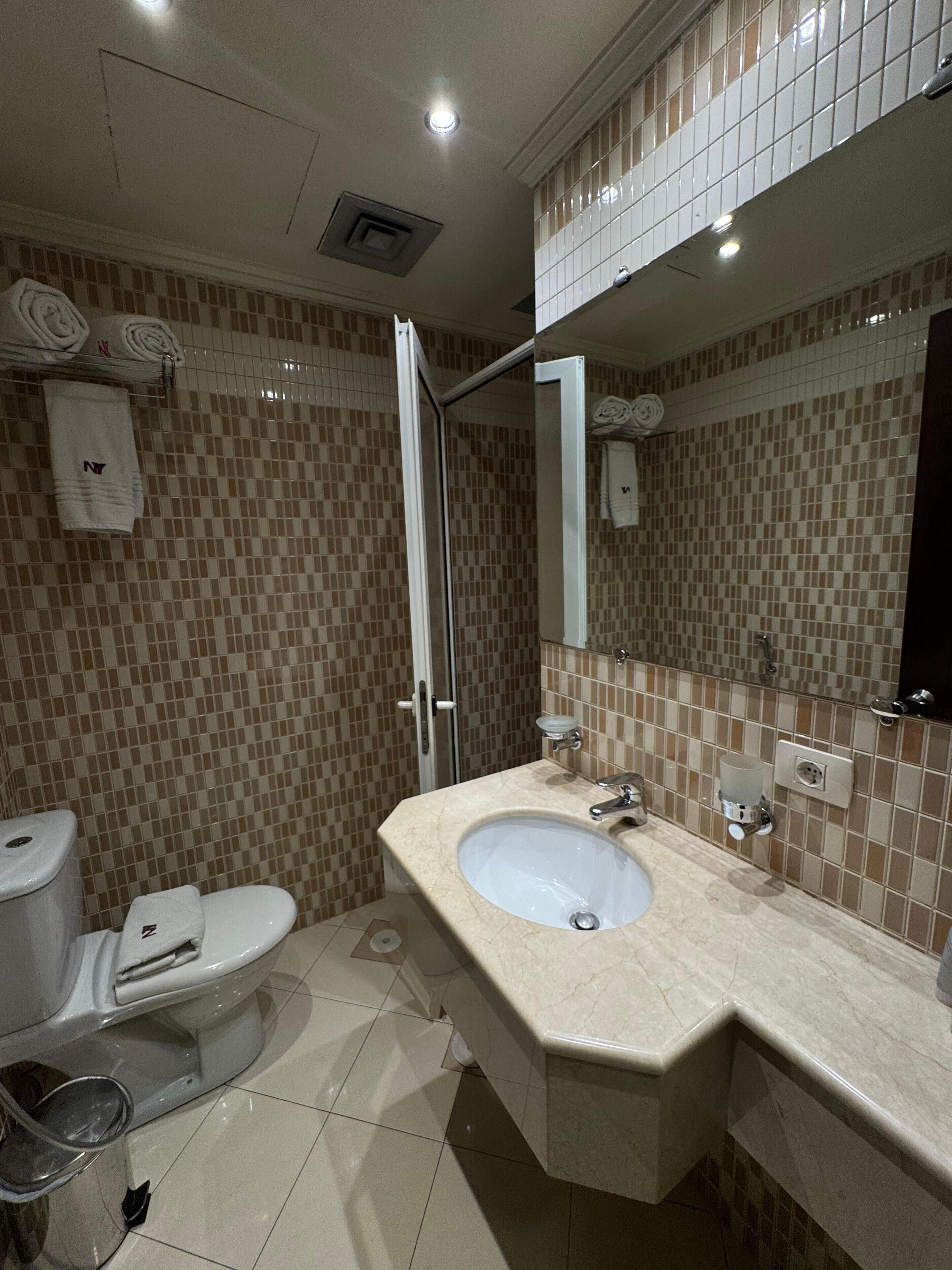 A bathroom with a toilet, sink, and shower.