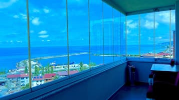 Vista del balcón