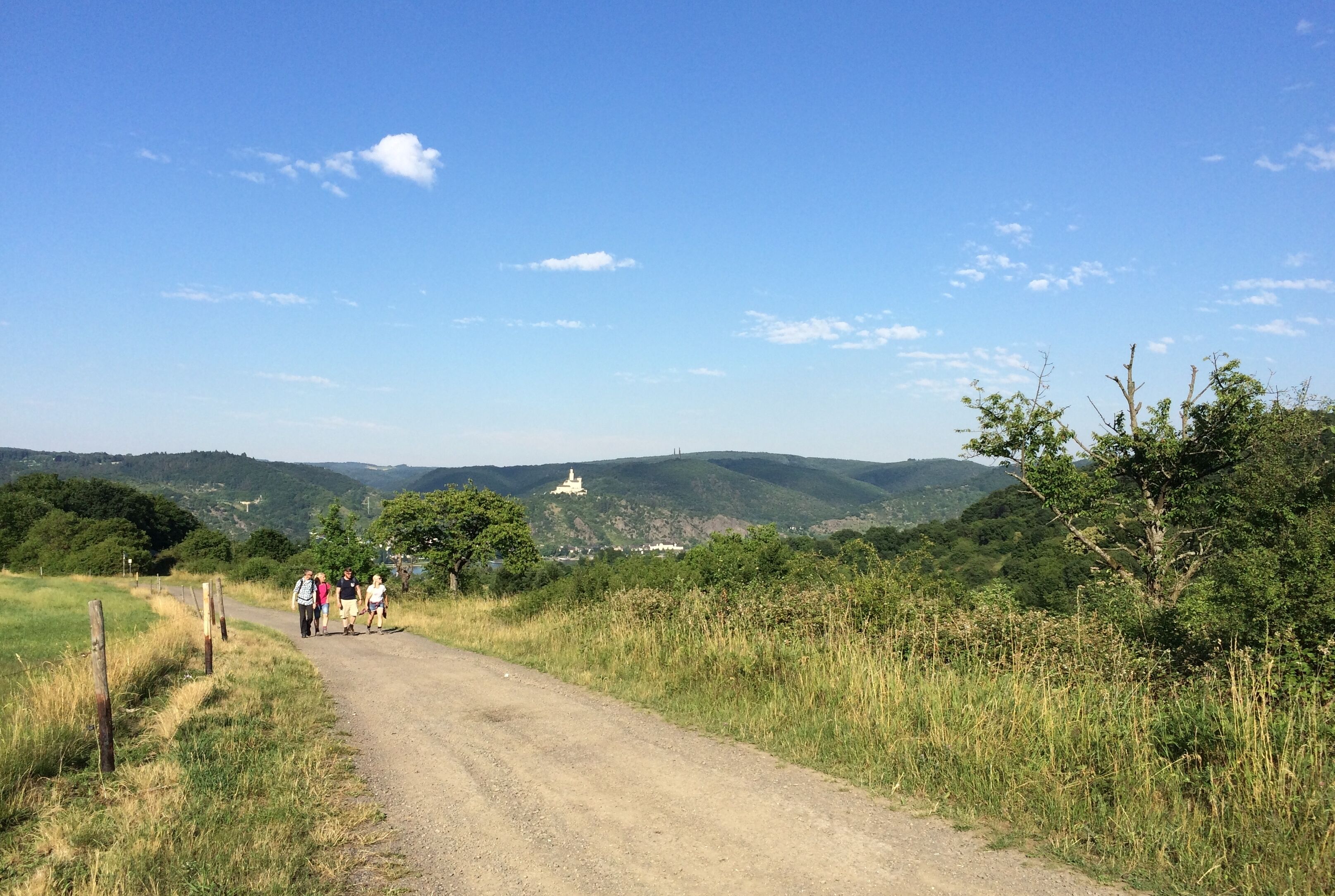 A dirt path with people walking, surrounded by greenery and hills.