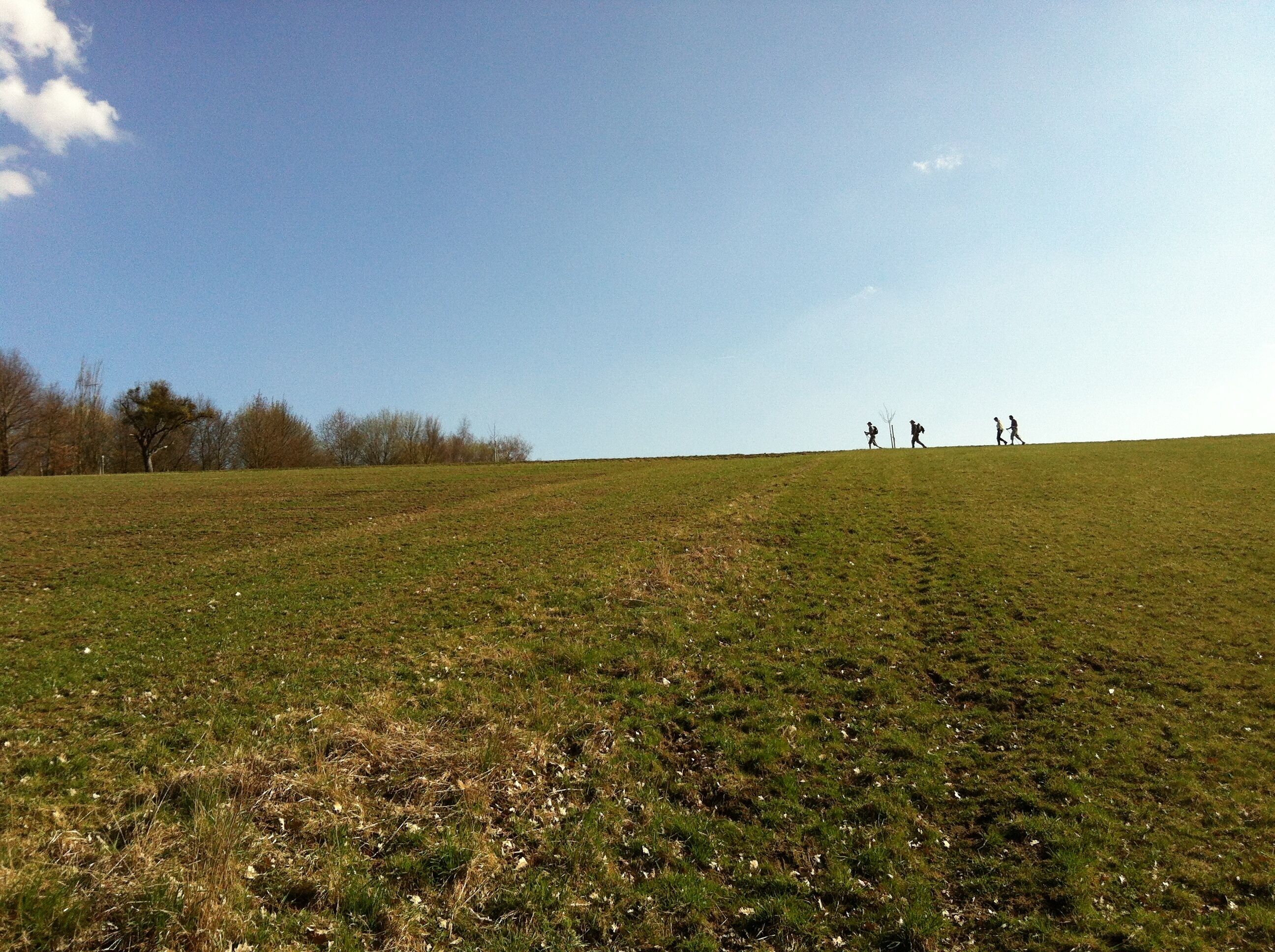 Photo - AKZENT Hotel Restaurant Roter Ochse Rhens bei Koblenz