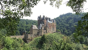A historic castle on a hill surrounded by lush greenery.