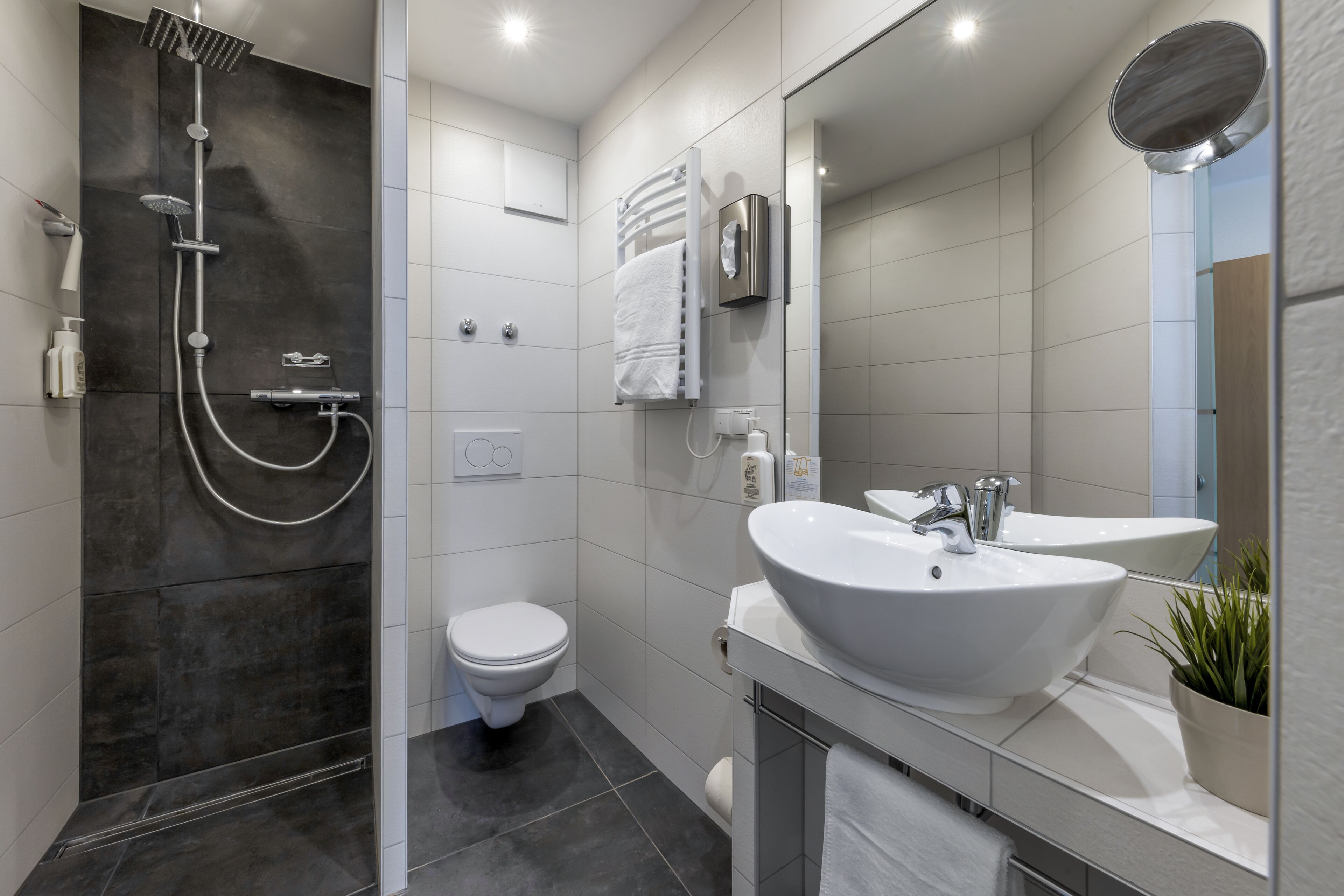 Ein modernes Badezimmer mit einer begehbaren Dusche, einer Toilette und einem Waschbecken mit Spiegel.