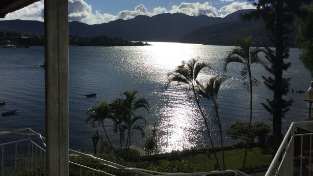 A view of a lake with mountains in the background, a clear sky, and palm trees along the shore.