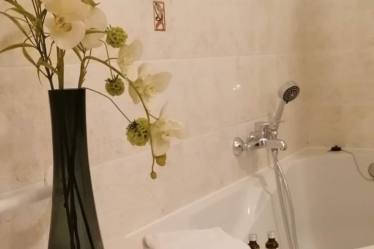 exclusive room | bathroom | free toiletries, hair dryer, towels, soap