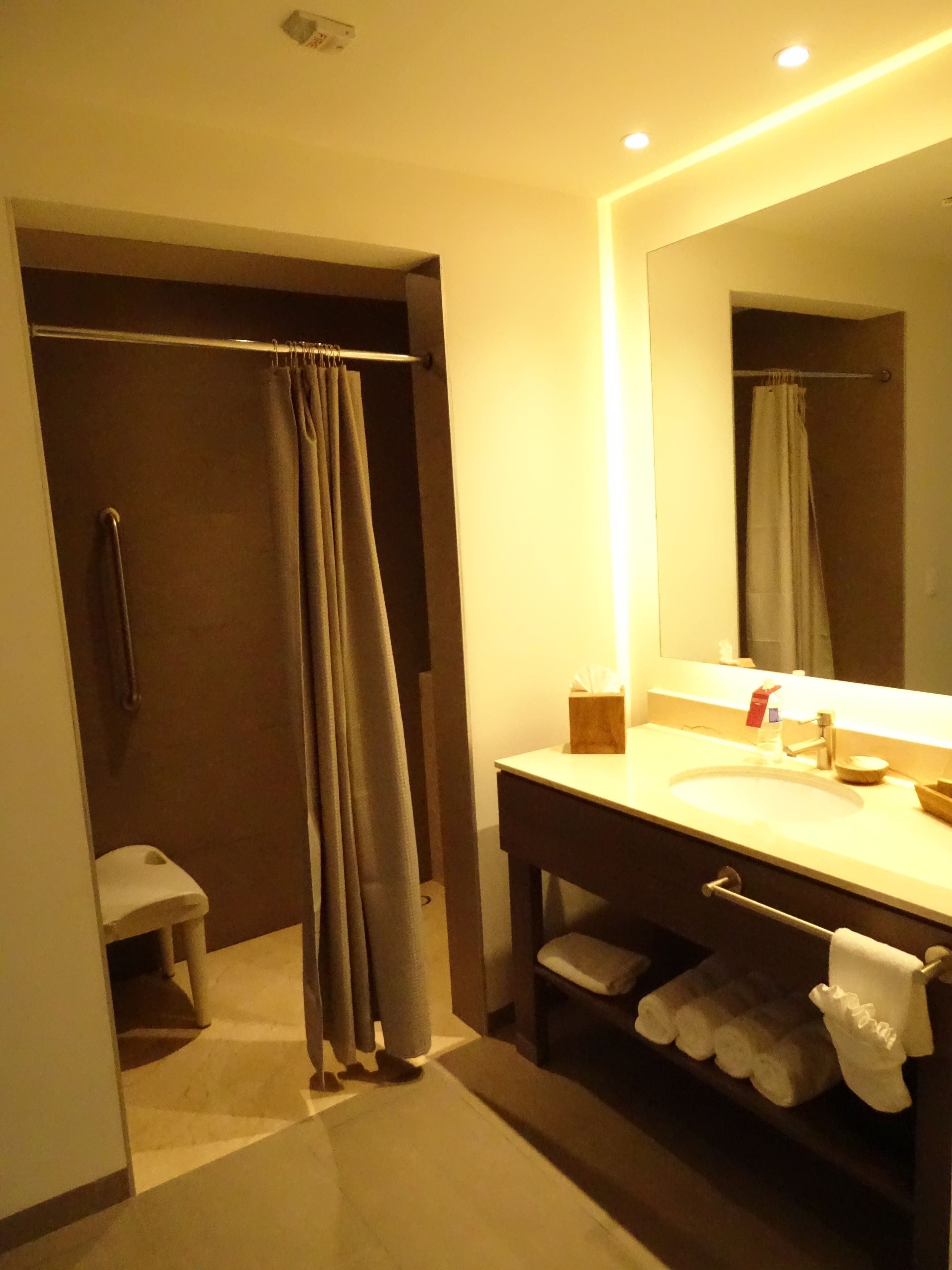 room, 1 king bed, accessible, non smoking (roll-in shower) | bathroom | shower, free toiletries, towels