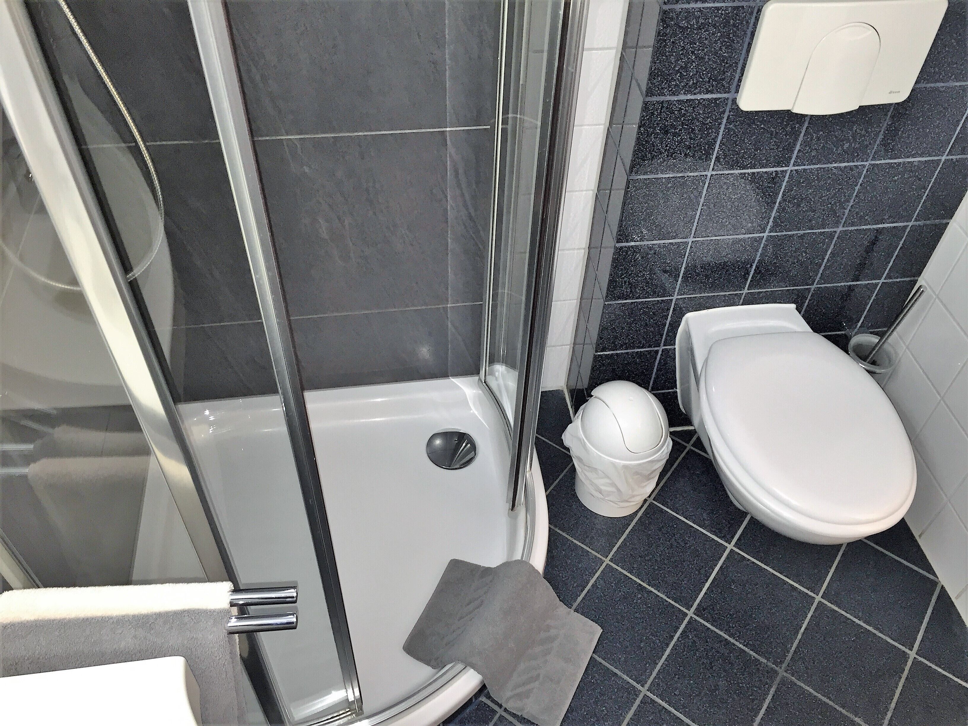 A bathroom with a glass-enclosed shower, a toilet, and a trash bin.