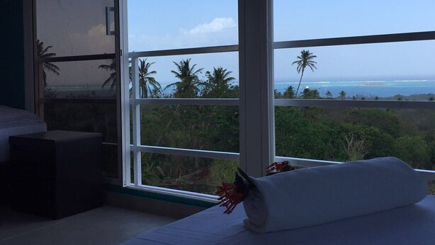 A room with a large window offering a view of palm trees and the ocean.