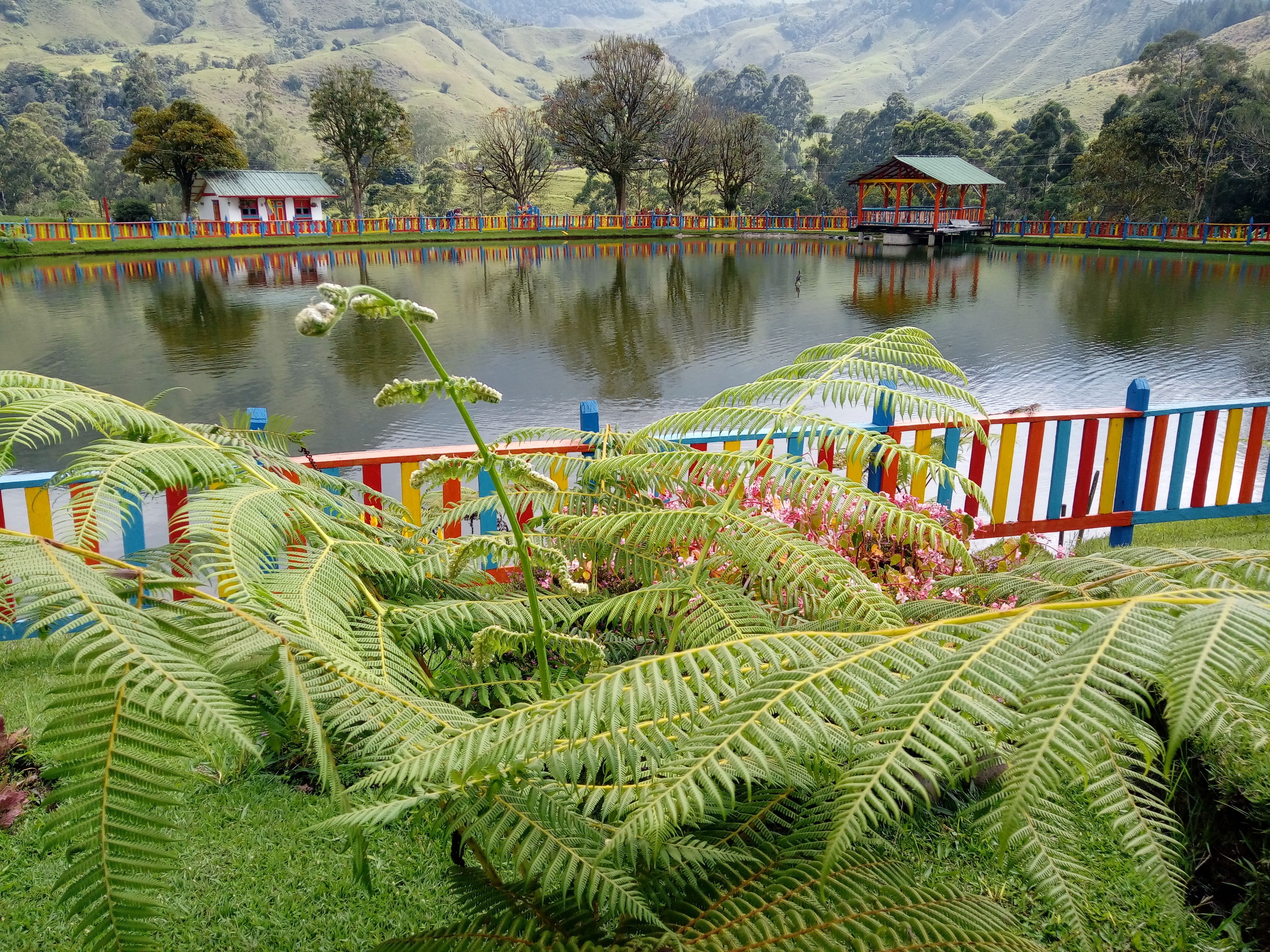 Pemandangan dari properti