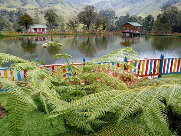 Vista desde la propiedad