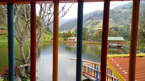 Vistas desde el alojamiento