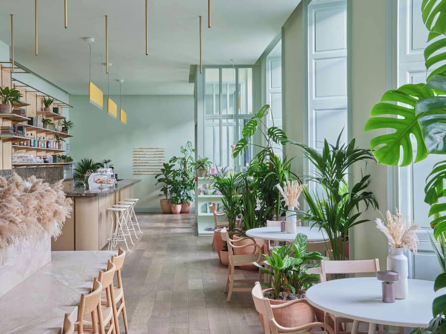 Un interno moderno con zona bar, posti a sedere e numerose piante.