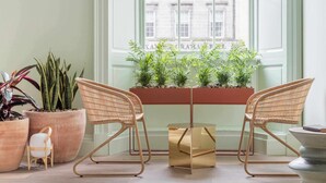 A room with two wicker chairs, a small table, and large potted plants near a window with a view of buildings. - Eden Locke (Edinburgh)