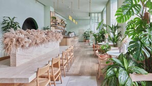 A spacious indoor area with a long counter, wooden chairs, and potted plants. - Eden Locke (Edinburgh)