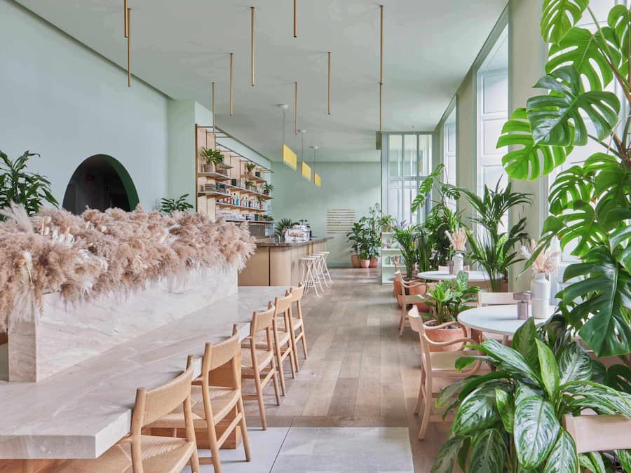 A spacious indoor area with a long counter, wooden chairs, and potted plants.