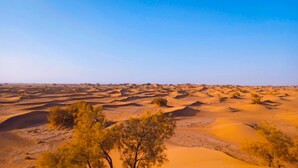 Unclassified image, 5 of 49, button - Atmospher Bivouac Desert (M'Hamid El Ghizlane)