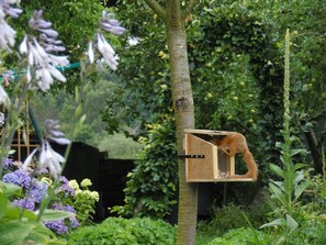 Property grounds - The Haven B&B (Castle Douglas)