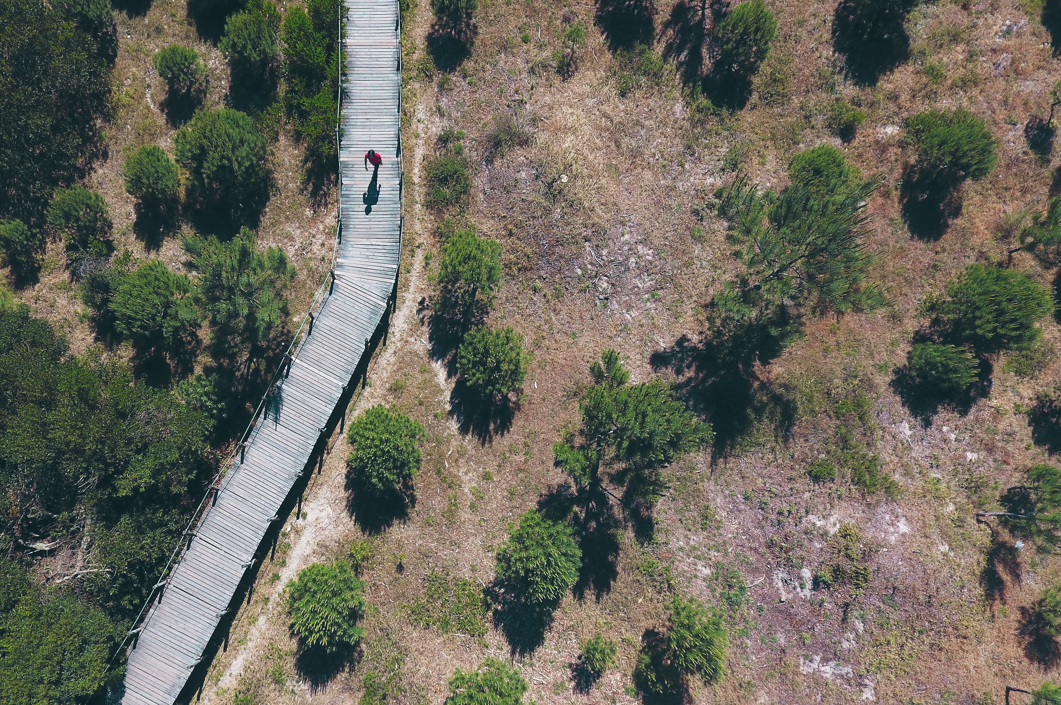 Photo - FeelViana Sport Hotel