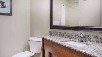 A bathroom with a white toilet, a granite countertop sink, and a large mirror.
