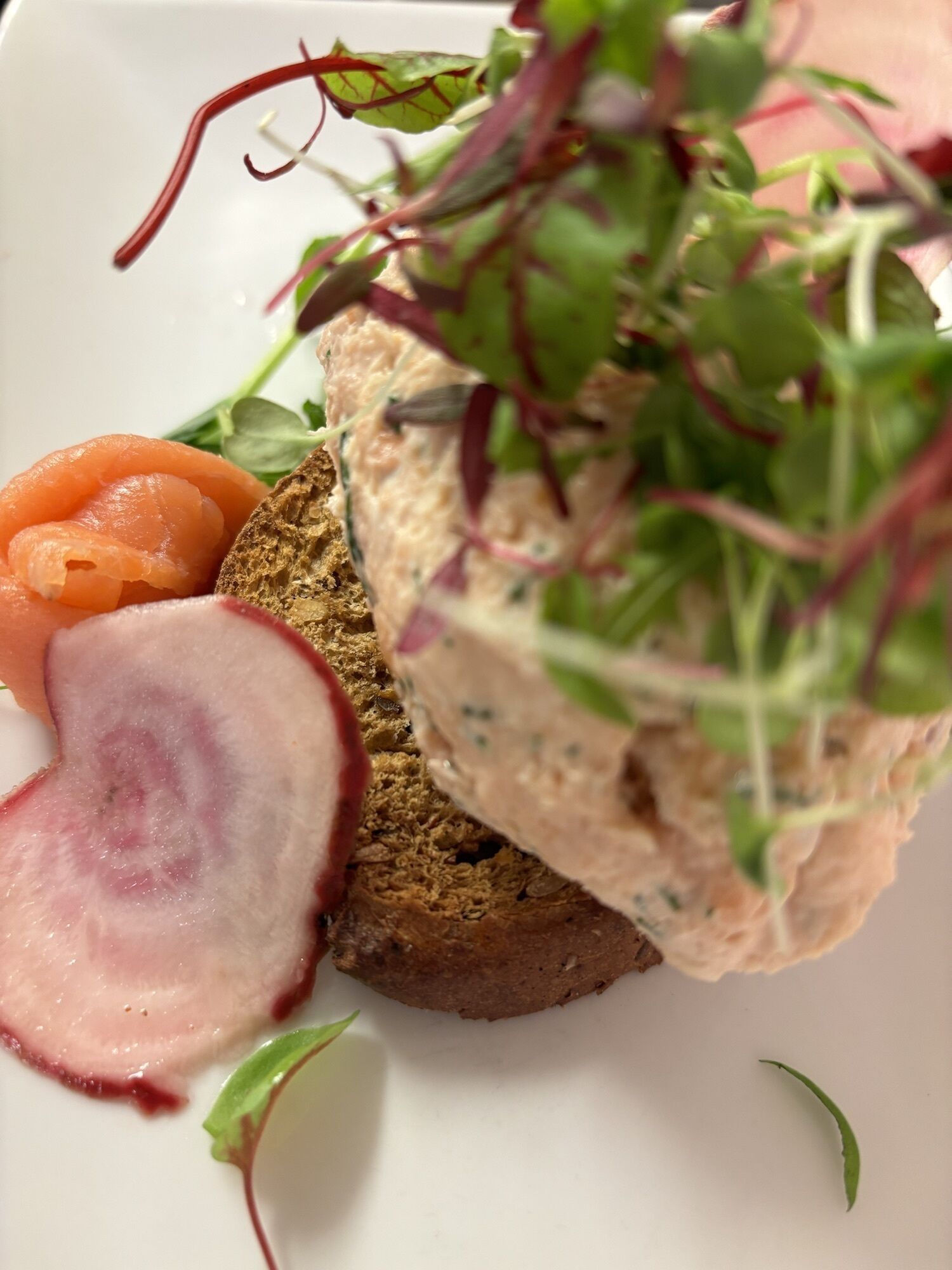 Un piatto con salmone, una fetta di ravanello e una porzione di pane condito con verdure.