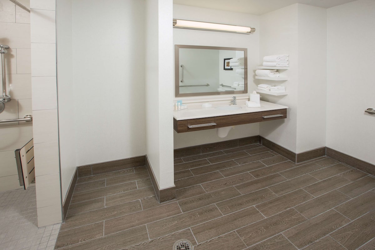 Studio, 1 King Bed, Accessible, Non Smoking (Roll-in Shower) | In-room safe, desk, laptop workspace, free WiFi