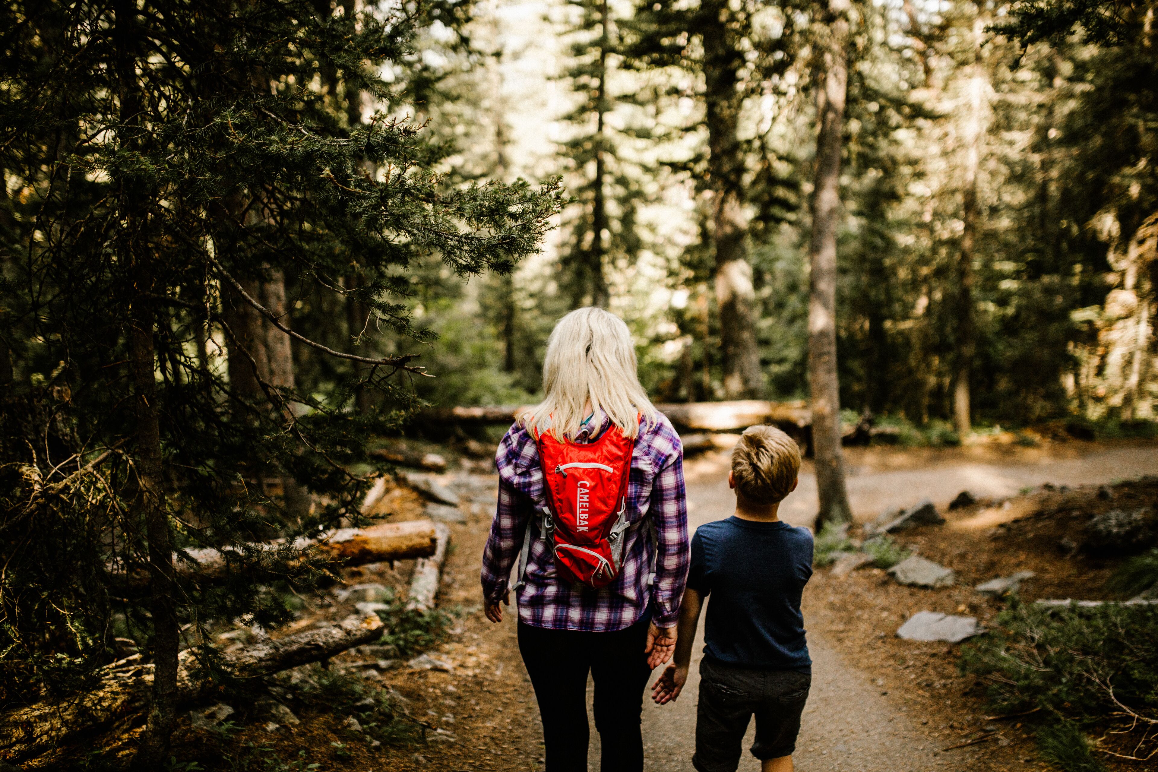 Un sendero en el bosque donde una mujer y un niño caminan juntos.