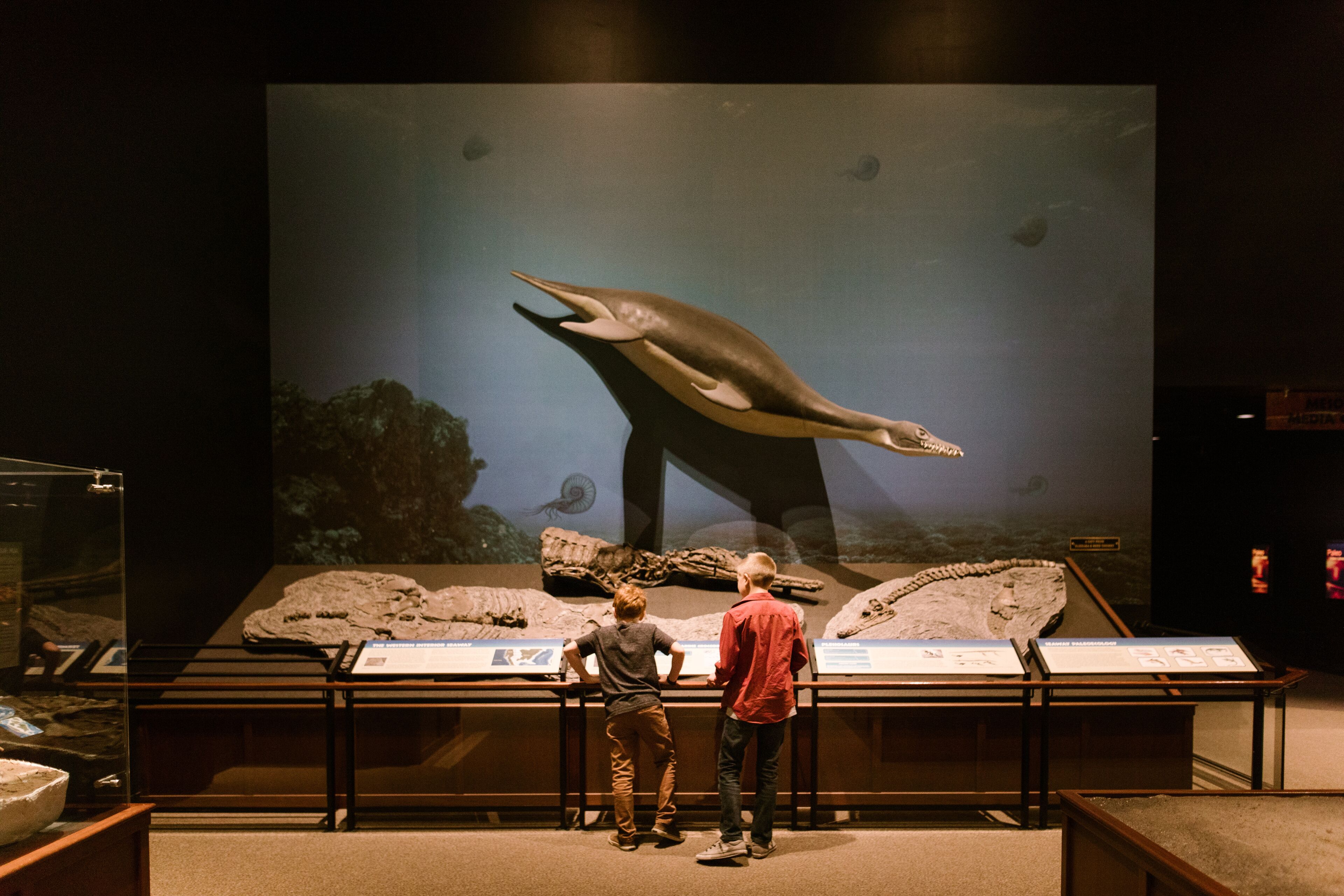 Exposição de museu com uma grande vitrine de um réptil marinho pré-histórico e dois visitantes observando.
